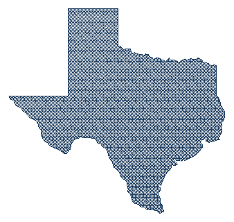 Texas state silhouette